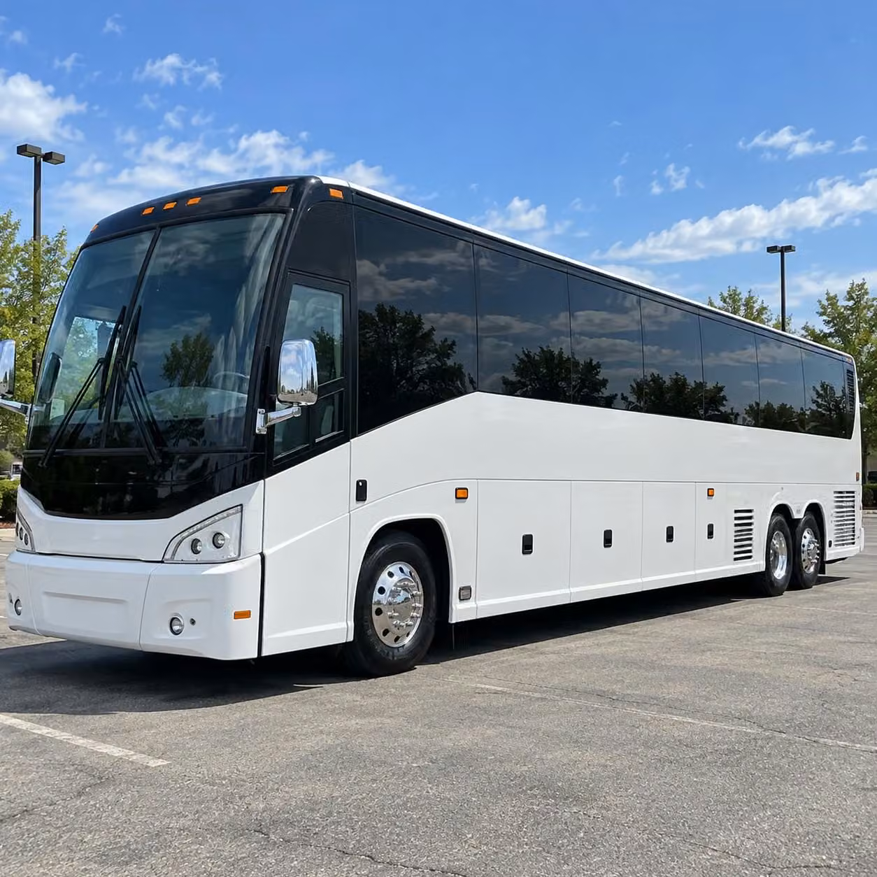 every group size has the right prom bus waiting in the network